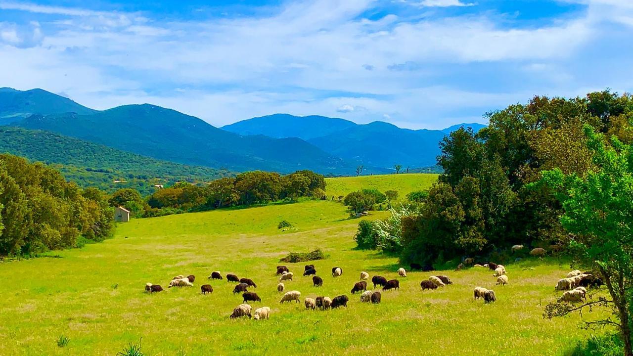 L'Aravone Lodge Sartène Εξωτερικό φωτογραφία