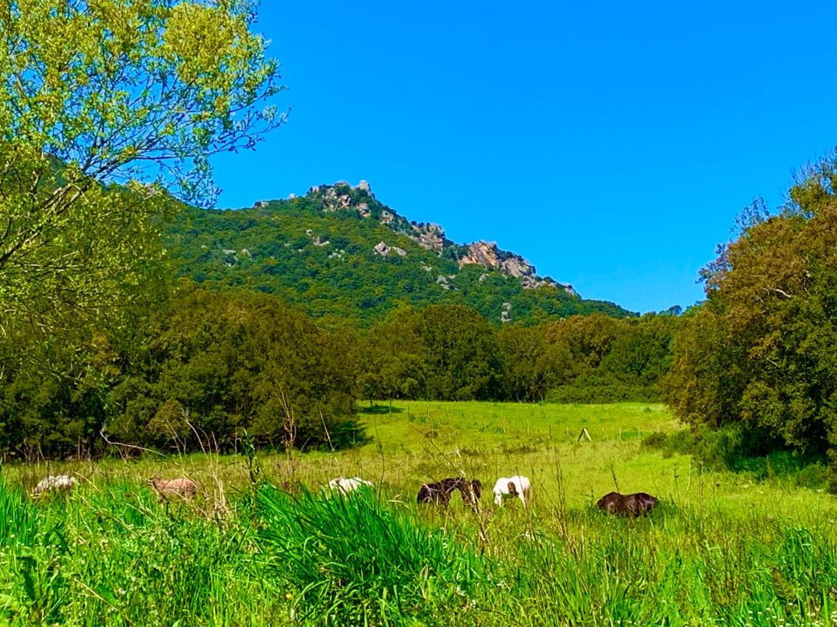 L'Aravone Lodge Sartène Εξωτερικό φωτογραφία